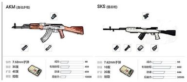 502授枪最高级别是哪一款？从初级到高级一一解析!